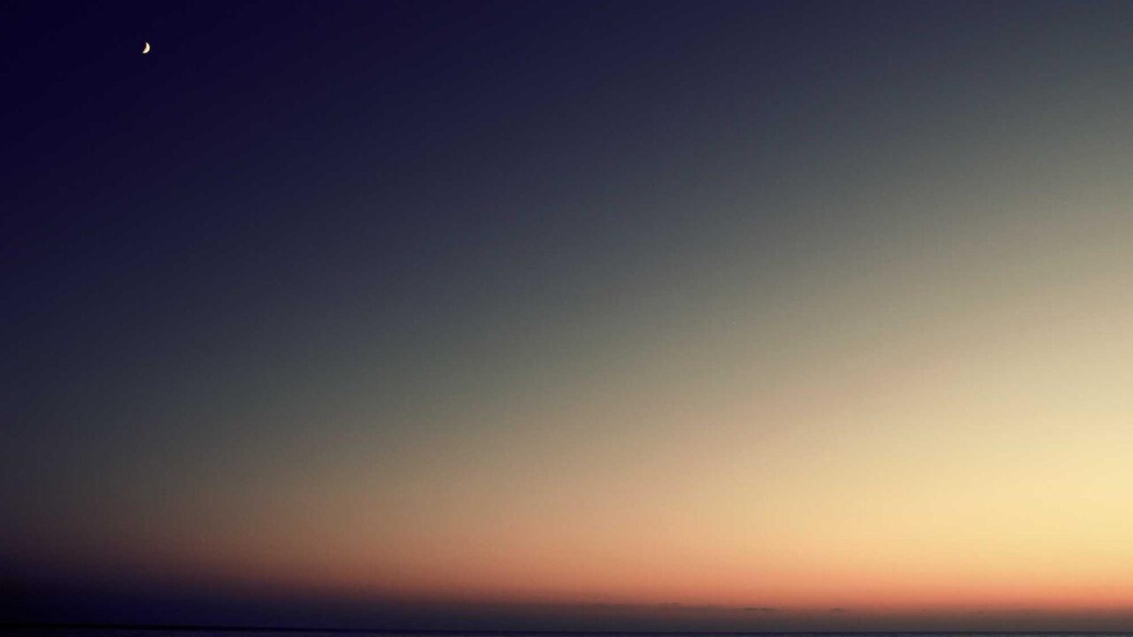 2ca31160-7a55-3c7a-a2ff-5c96fc28fcf1